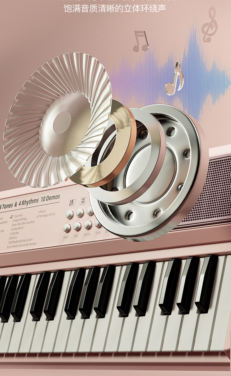 Portable Children's Electronic Organ Multifunctional Educational Musical Instrument Beginner Baby Microphone Boys and Girls Piano Toy Playing