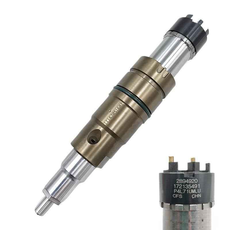 Fuel Common Rail Injector 2894920 Injector